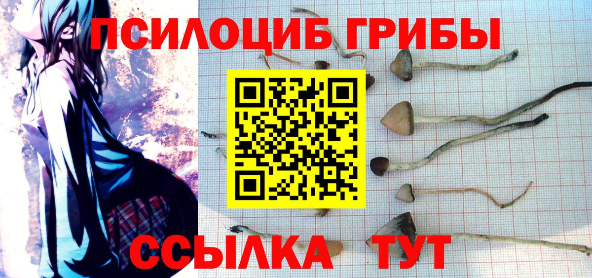Галлюциногенные грибы ЛСД Самара
